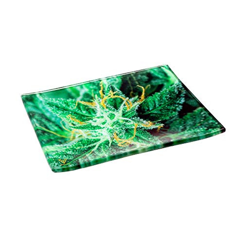 Glass Rolling Tray, AK-47 Strain Design by V Syndicate