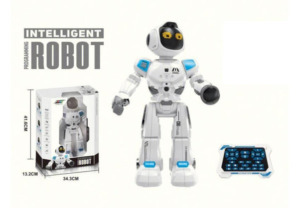 Puzzle Programming Robot