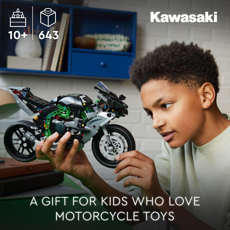 LEGO Technic Kawasaki Ninja H2R Motorcycle Toy - Building Toys for Kids, Boys & Girls, Ages 10+ with Kickstand for Display - Model Kit Gift for Christmas - 42170