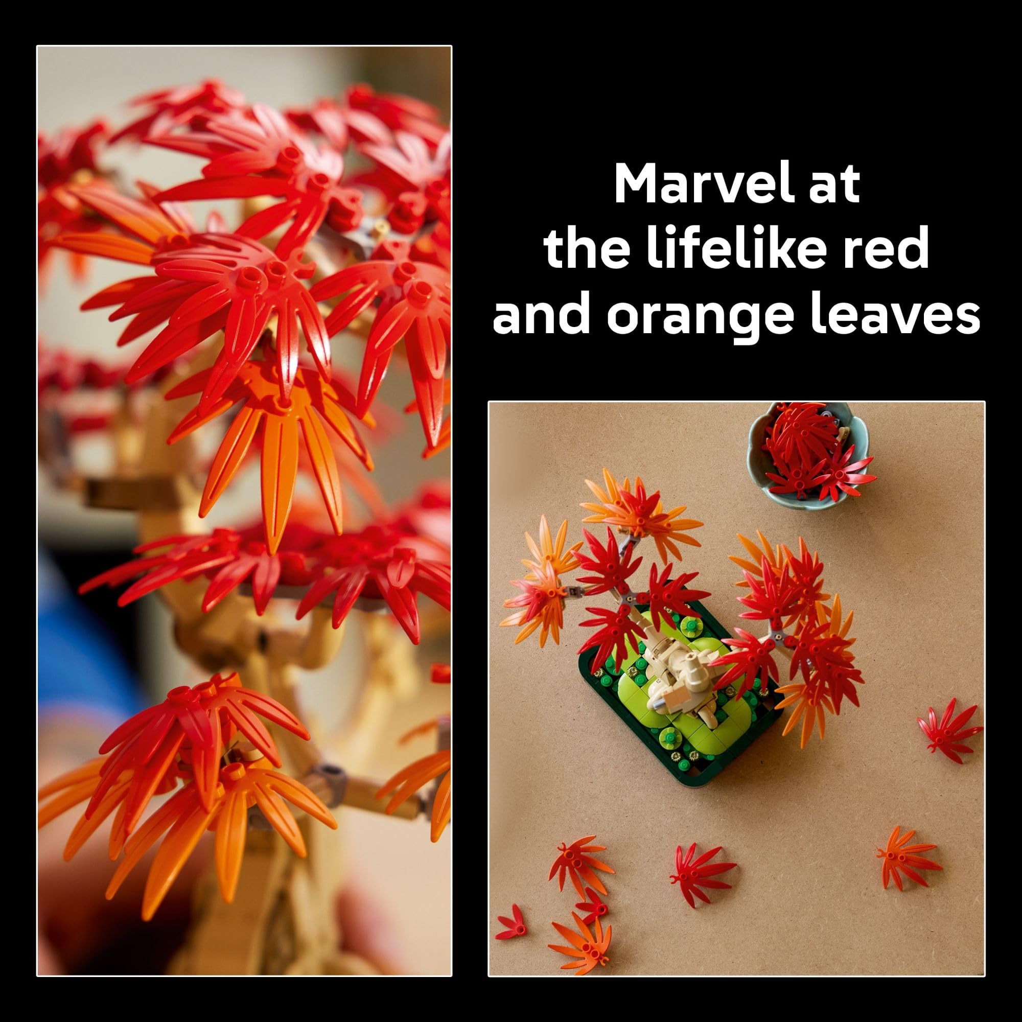 LEGO Botanicals Japanese Red Maple Bonsai Tree Building Kit for Adults 18+ - Unique Home Decor DIY for Room or Office