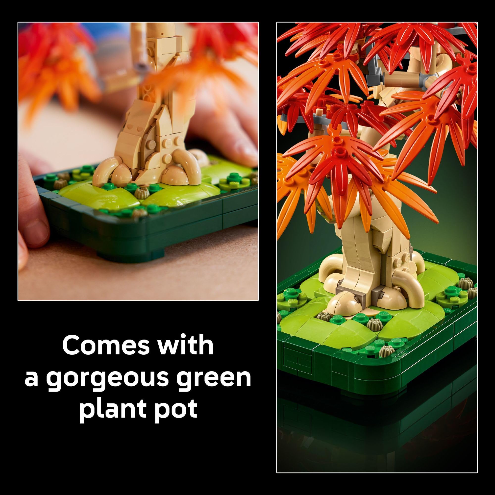 LEGO Botanicals Japanese Red Maple Bonsai Tree Building Kit for Adults 18+ - Unique Home Decor DIY for Room or Office