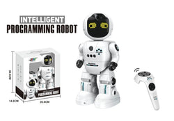 Intelligent Programming Robot Including Battery