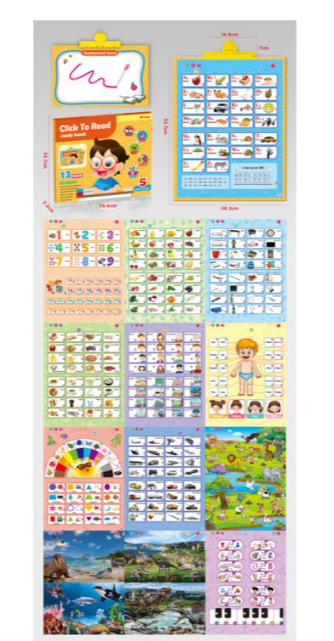 13-in -1 English Audio Wall Chart Point Reading Learning Machine