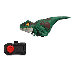 Jurassic World Dominion Uncaged Click Tracker Velociraptor Dinosaur Action Figure, Toy Gift with Interactive Motion and Sound, Clicker Control