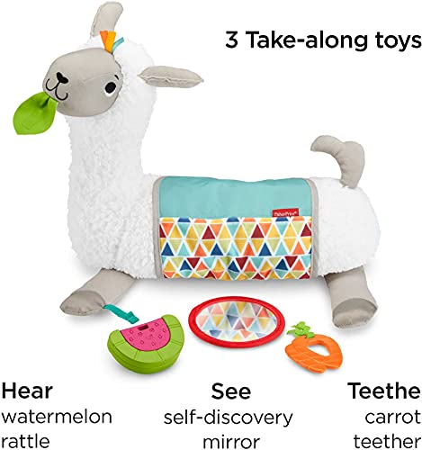 Llama, Plush Infant Support Wedge, Fisher-Price Grow-with-Me Tummy Time - sctoyswholesale
