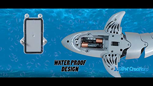 Remote Control Water Shark - sctoyswholesale