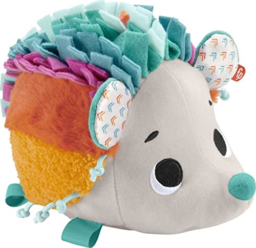 Fisher-Price Cuddle n' Snuggle Hedgehog Plush Toy with Sounds and Textures for Babies - sctoyswholesale