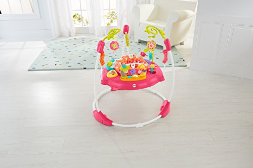 Pink Petals Jumperoo Fisher Price Rainforest Exersaucer Fisher