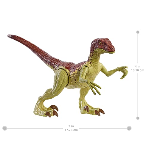 Jurassic World Toys Fierce Force Velociraptor Camp Cretaceous Dinosaur Action Figure Movable Joints,  & Single Strike Feature, Mixed Color - sctoyswholesale