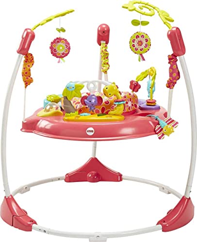 Fisher-Price Jumperoo Baby Bouncer and Activity Center with