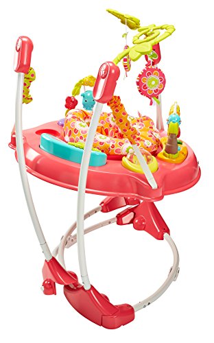 Fisher-Price Jumperoo Baby Bouncer and Activity Center with Spinning Seat plus Lights Music Sounds and Baby Toys, Pink Petals