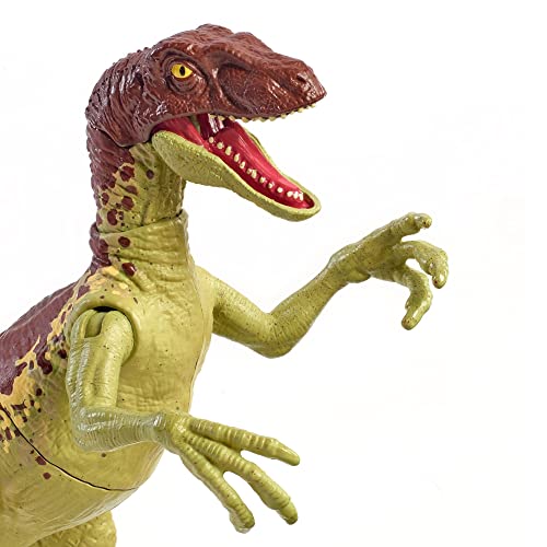 Jurassic World Toys Fierce Force Velociraptor Camp Cretaceous Dinosaur Action Figure Movable Joints,  & Single Strike Feature, Mixed Color - sctoyswholesale
