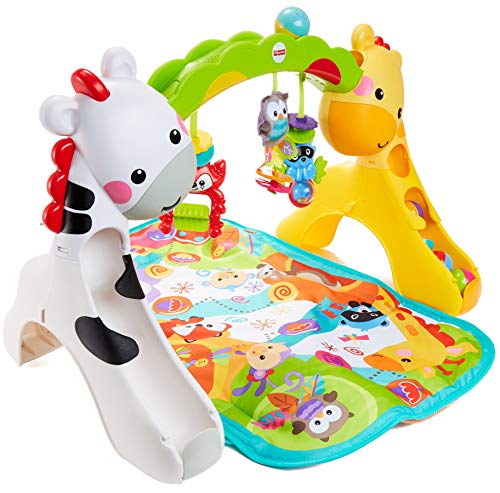 Fisher-Price Newborn-To-Toddler Play Gym With Music and Lights [Amazon Exclusive]