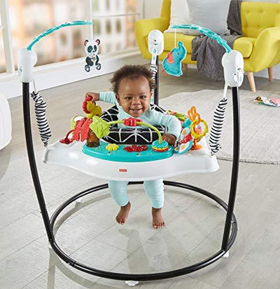 Fisher Price Baby Bouncer Animal Wonders Jumperoo Activity Center With StockCalifornia