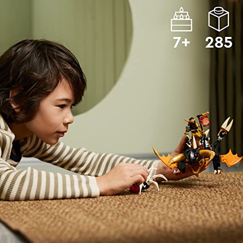 LEGO NINJAGO Cole’s Earth Dragon EVO 71782, Upgradable Action Toy Figure for Boys and Girls with Battle Scorpion Creature and 2 Minifigures, 2023 Playset