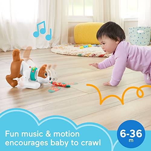 Fisher-Price Baby Learning Toy 123 Crawl With Me Puppy Electronic Dog With Smart Stages Content & Lights