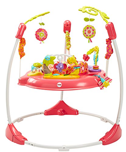 Fisher-Price Jumperoo Baby Bouncer and Activity Center with