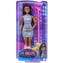Mattel Barbie BIG CITY BIG DREAMS Brooklyn Roberts - sctoyswholesale